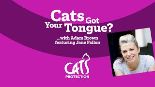 Cats Got Your Tongue podcast with Jane Fallon 🐱🎙️ Tales of a greedy cat [upl. by Abih]