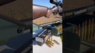 200yd 2” MOA  308 Bounce off GoPro HOPMunitions [upl. by Ylekalb]