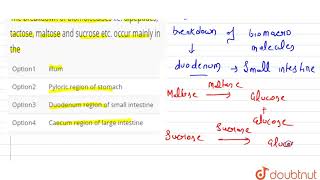 The breakdown of biomoleculses ie dipeptides tactose maltose and sucrose etc occur mainly in [upl. by Alanson198]