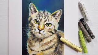 Oil pastel drawing  How to draw A Cat with Oil pastel [upl. by Volny421]