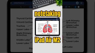 iPad Air M2  The Ultimate Note Taking Tablet 🤯📱 [upl. by Yeltnerb]