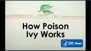 How Poison Ivy Works [upl. by Assetak]