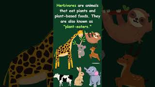 Understanding Herbivores Carnivores Omnivores trending education science foodscience animals [upl. by Marka]