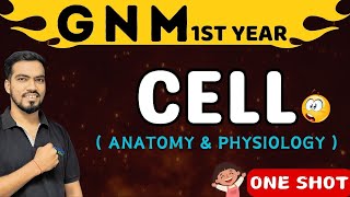 cell gnm 1st year  ana amp physio gnm 1st year  gnm 1st year  gnm 2024 [upl. by Tnecnev]