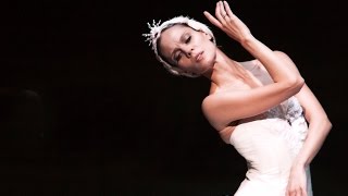 Het Zwanenmeer trailer  Het Nationale Ballet  Dutch National Ballet [upl. by Amethist142]