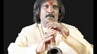 Pilloo Dhun Pt Rajendra Prasanna   Shehnai Instrumental   Colour Of Life Shehnai [upl. by Eetsud]