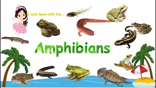 Amphibians for Kids  What is an Amphibian  Learn about the amphibians with Bandus Kids LAB [upl. by Demeyer]