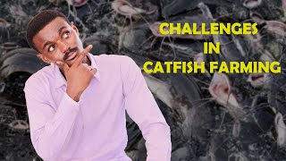 Catfish Farming CHALLENGES You Will Face [upl. by Jyoti]