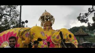 20240820  Kandy  Dawal Perahera ‎‪DasunBandaraJayasinghe [upl. by Valina625]