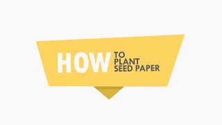 How to Plant Seed Paper The Right Way  Planting Instructions for Plantable Seed Paper [upl. by Ameekahs]