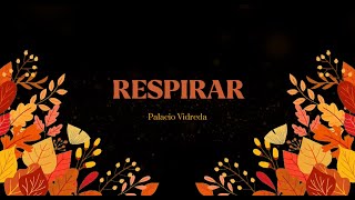 Palacio Vidreda  Respirar Lyric Video [upl. by Judith]