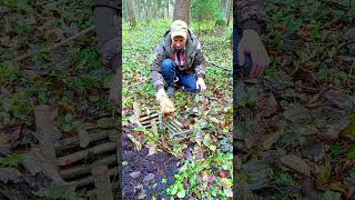 trap bushcraft trapping trap survival [upl. by Philo]