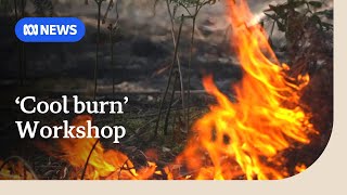 Aboriginal cultural burning practices helping Tasmanians maintain country  ABC News [upl. by Fawne]