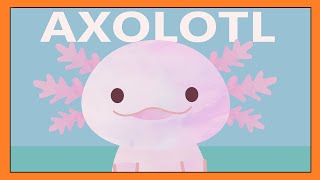 Axolotl Song  A Fun and Educational Song for Kids │ Smiley Rhymes [upl. by Mathre236]