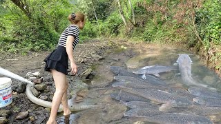 Fishing Skills Unique Way to Catch Fish Amazing Fishing Fishing Techniques Catch A Lot Of Fish [upl. by Kramlich]