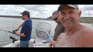 Idaho Wallaye Trout Fishing [upl. by Lladnik]