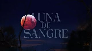 Mägo de Oz  Luna de sangre Lyric Video Oficial [upl. by Roxanne]