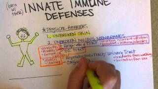 Innate Immunity Part 1 [upl. by Karab5]