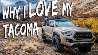 Is a TACOMA Right for YOU [upl. by Anitsugua842]