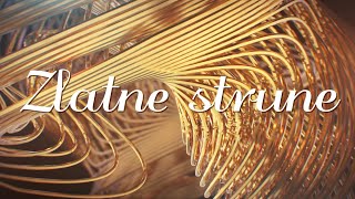 Zlatko Pejaković  Zlatne strune Official lyric video [upl. by Gusta120]