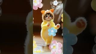 Simpatica Danza Del Gatto 😽 catdance cutecat funnycats [upl. by Kinimod]