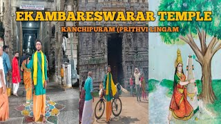 3500 YEAR 0LD MANGO TREE EKAMBARESWARAR TEMPLE PRITHVI LINGAM TEMPLE [upl. by Laaspere91]