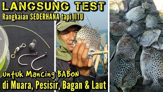 Rangkaian Sederhana tapi JITU untuk Mancing Ketangketang  Kiper amp Baronang [upl. by Ardnauqal187]