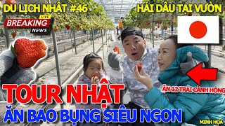 DU LỊCH NHẬT 46 BAY TỪ SÀI GÒN 4000KM ĐÁNG ĐỒNG TIỀN BÁT GẠO  HÁI DÂU NHẬT SIÊU TO amp ĂN BAO BỤNG [upl. by Carnay]