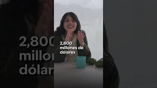 Oportunidad para Colombia y demás productores de aguacate derechos de autor a quien corresponda [upl. by Ainesy]