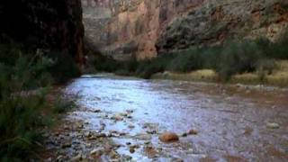 Kanab Creek Flash Flood  Grand Canyon [upl. by Lhamaj978]