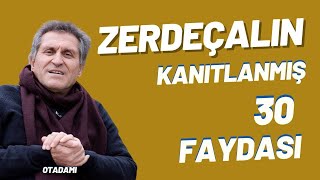 ZERDEÇAL NE İŞE YARAR ZERDEÇALIN FAYDALARI ZERDEÇAL NASIL KULLANILIR [upl. by Nageek]