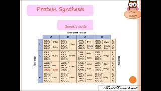 protein synthesis  genetic code transalationbiology [upl. by Tobe]