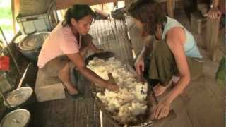 Como Hacer Chicha de Yuca  How to make Yucca Chicha  Amazonia Kichwa Ecuador [upl. by Madonna]