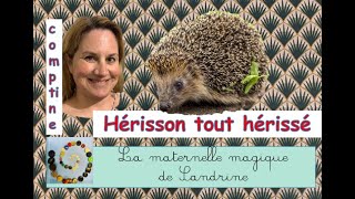 ⭐️Hérisson tout hérissé  comptine enfantine mimée [upl. by Andonis]