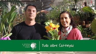 Nô Figueiredo no Orquidário Paulista Cultivo de Cattleyas com Reinaldo Ilaci [upl. by Liman707]