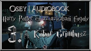 Harry Potter és az azkabani fogoly hangoskönyv remake  3 fejezet [upl. by Ainoda]