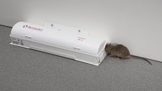 Automatyczna elektryczna pułapka na gryzonie radar Automatic electric rodent trap [upl. by Severn]