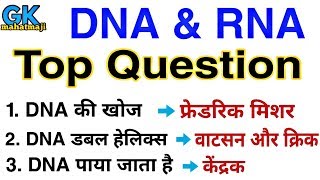 DNA amp RNA Top Question  Biology gk Question  RRB JE SSC [upl. by Edlun]