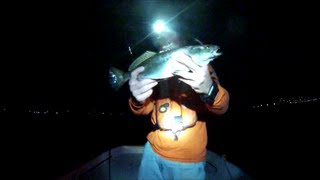 Night Light Fishing Part II  Cooler Full of Trout [upl. by Pepper]