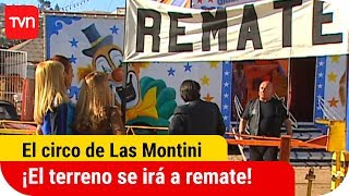 ¡El terreno se irá a remate  El circo de Las Montini  T1E8 [upl. by Danete420]