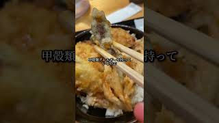 富山グルメの頂点、6000円の白エビ丼がある白えび亭に行ってきた 富山グルメ 天丼 海老 揚げ物 唐揚げ おのまめし 海鮮 [upl. by Joceline930]