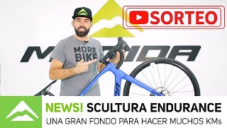 Te presentamos la Merida Scultura Endurace  La Nueva bici de Gran Fondo [upl. by Nahallac]