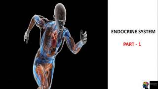 Endocrine System  ICSE Class 10th BiologyPart 1 [upl. by Bertilla]