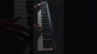 Ethrayo Janmamayi Piano Cover  Christy [upl. by Aalst959]