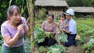 quotThe Crazy Witch Destroys The Vegetable Garden Husband Decides To Protect His Wife To The Endquot [upl. by Jillian625]