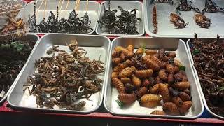 Bugs eating at famous Khao San Market Bangkok Thailand [upl. by Jacinto996]