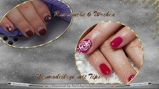 Mininägel mit OmbréEffekt durch Thermogel  NailsbyLadydesigner [upl. by Leugim598]