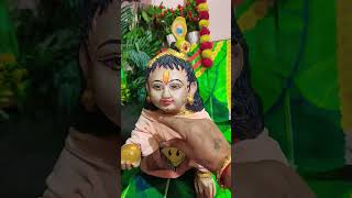 tRadhe Radhe 🙏🙏  shorts youtubeshorts laddugopal [upl. by Esoranna331]