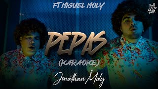 LOS MOLY  Pepas Version Merengue 80s Karaoke [upl. by Hope390]