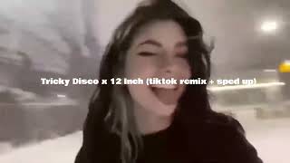 Tricky Disco x 12 Inch tiktok remix  sped up [upl. by Jamey848]